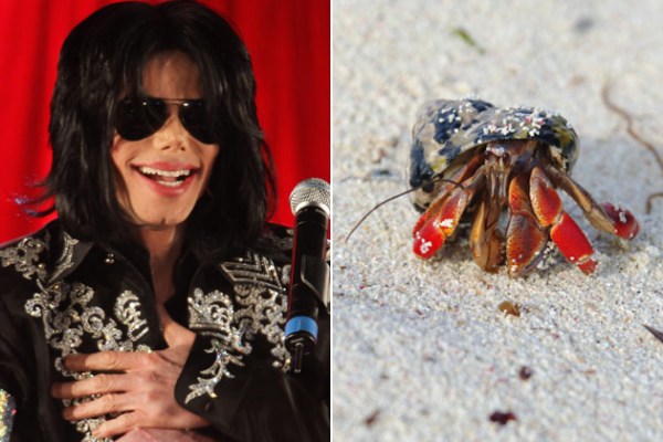 10 fakta pelik tentang micheal jackson yang belum diketahui ramai 9