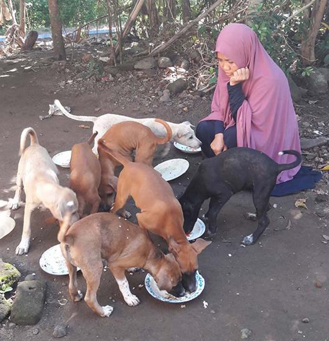 20160617144140 1 wanita berhijab beri makan anjing 001 isn