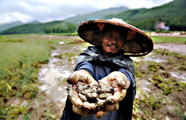 9 prinsip orang cina yang membuatkan mereka berjaya di mana sahaja 3