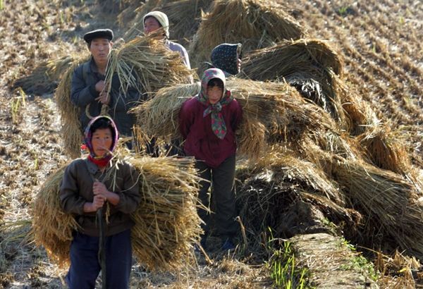 9 prinsip orang cina yang membuatkan mereka berjaya di mana sahaja