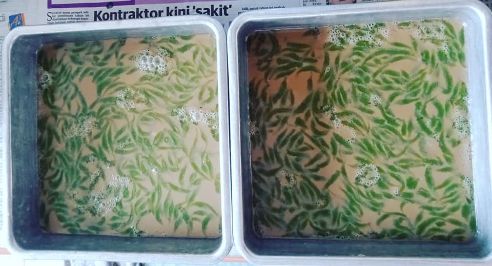 agar agar cendol gula melaka 1