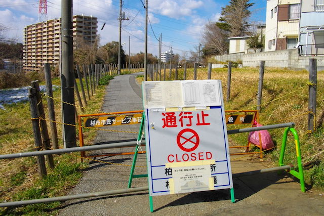 angka kematian meningkat selepas tragedi fukushima