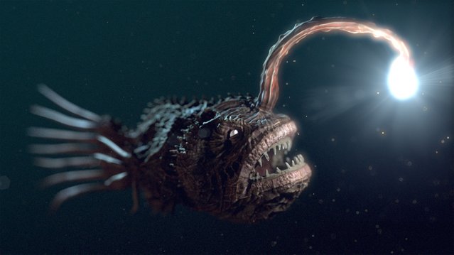 anglerfish