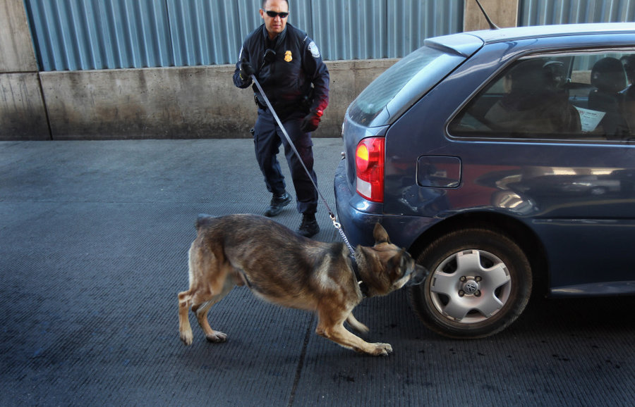 anjing baka german shepherd