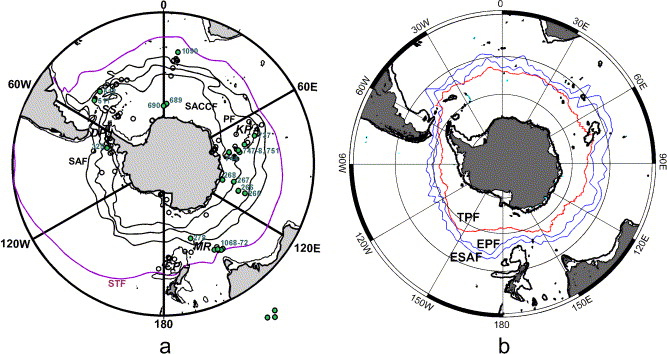 antarctic circumpolar current