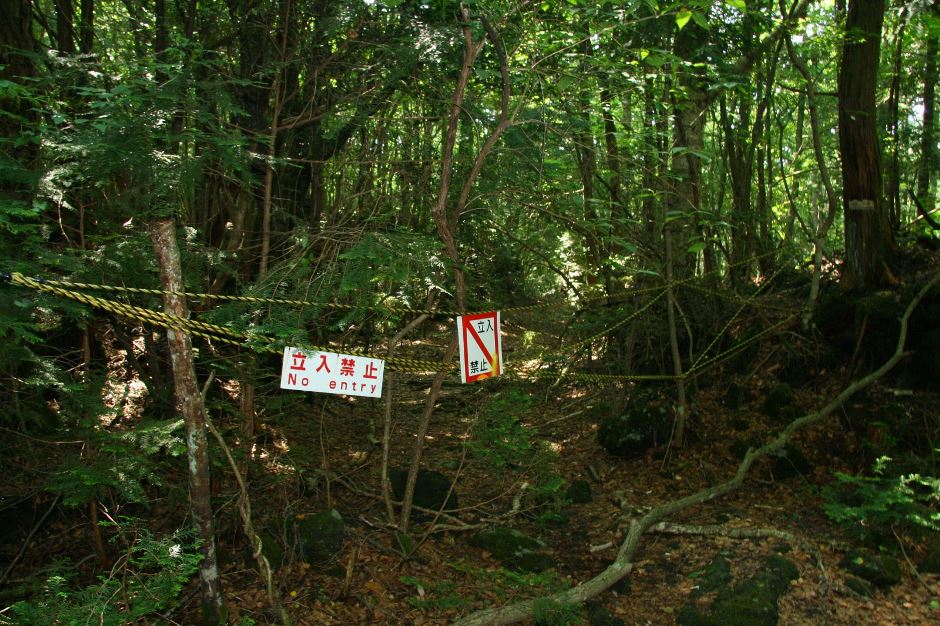 aokigahara jepun