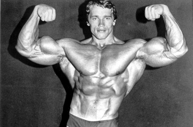 arnold schwarzenegger