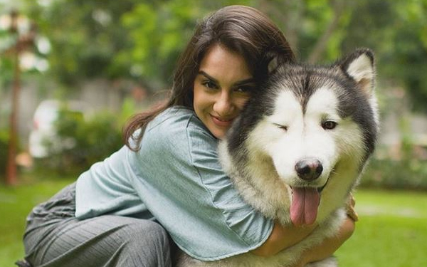 artis indonesia bersama anjing husky