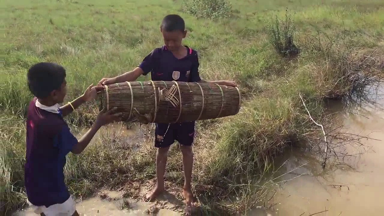 bagai haruan di dalam tuar senarai peribahasa yang anda tak pernah dengar