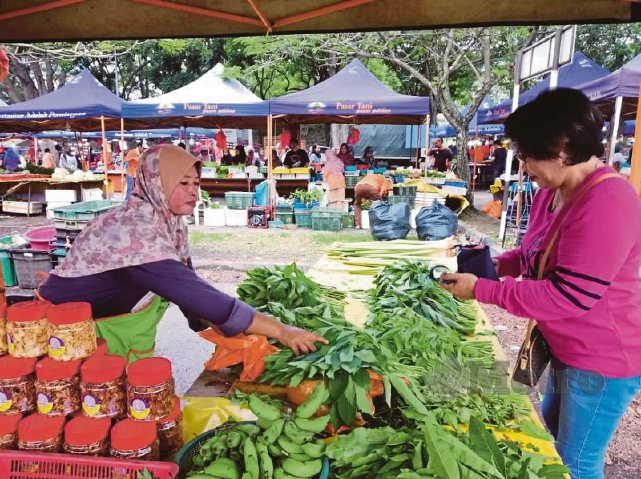 bahan segar kampung lebih berkualiti