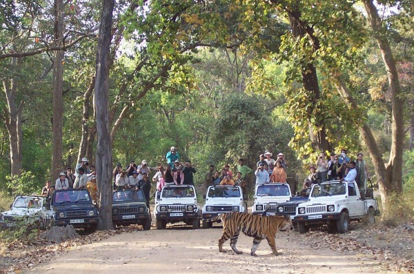 bandhavgarh