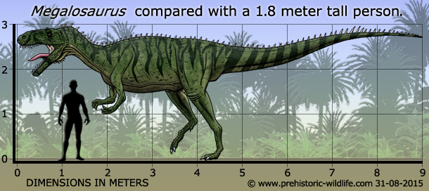 bandingan megalosaurus dan manusia