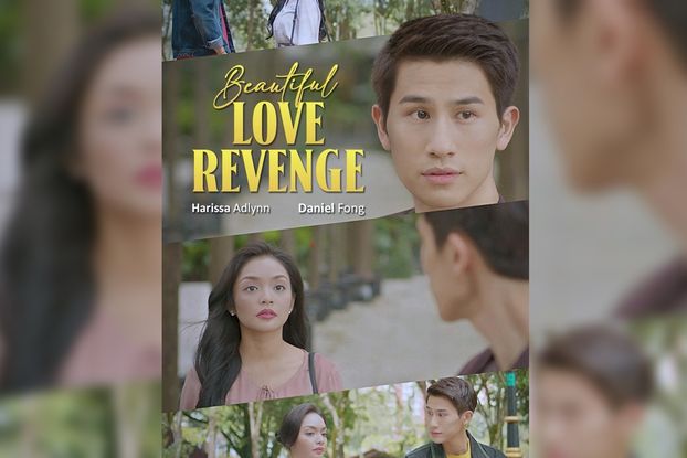 beautiful love revenge