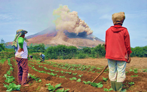 bercucuk tanam berhampiran gunung berapi