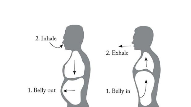 bernafas menggunakan perut
