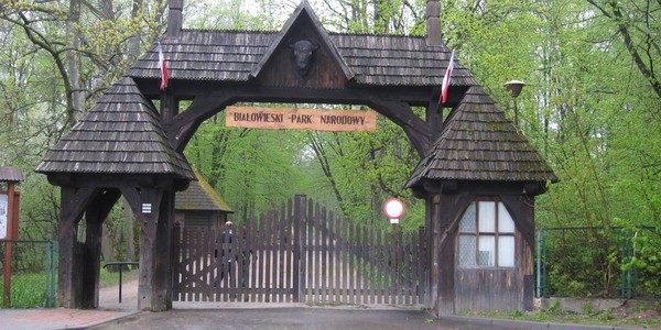 bialowieski taman negara poland