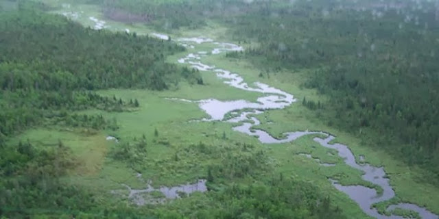 big bog maui hawaii 172