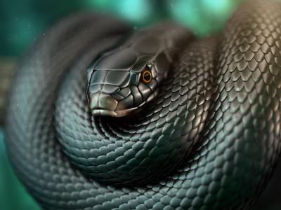 black mamba