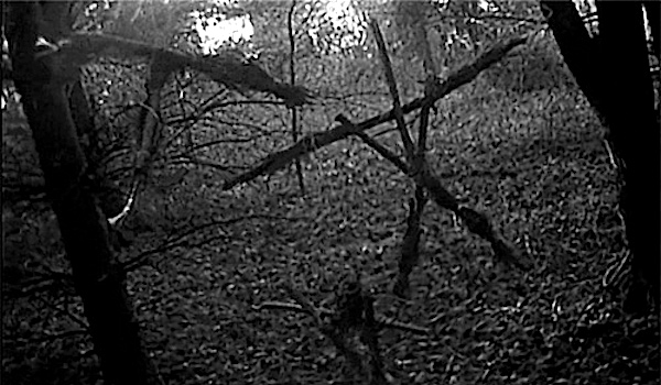 blair witch filem klasik mempunyai kos penerbitan lebih rendah berbanding filem badang