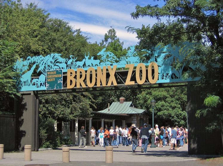 bronx zoo