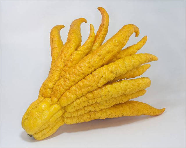 buddhashand