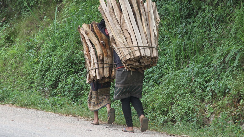 buruh paksa bekerja tanpa garis panduan