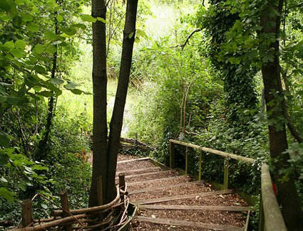 camley street natural park