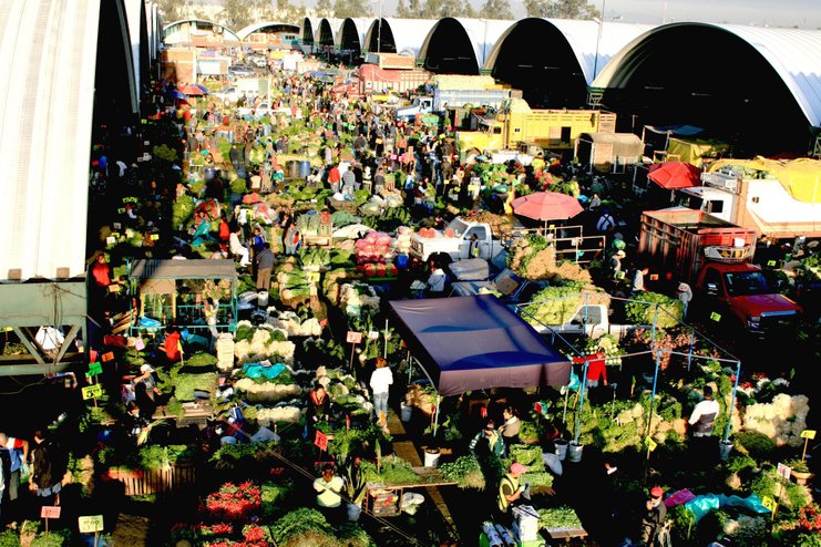 central de abasto horario comercio