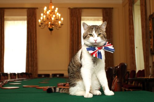 chief mouser kabinet british