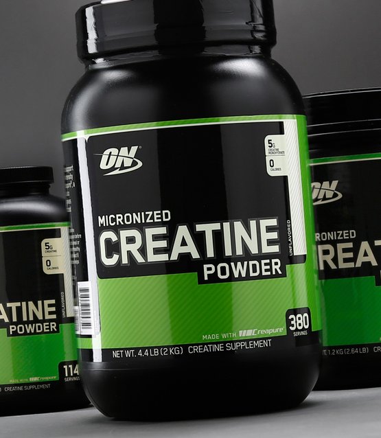 creatine dan fungsinya