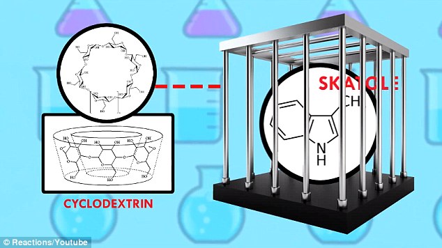 cyclodextrin