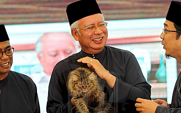 dato seri najib razak dan kucing