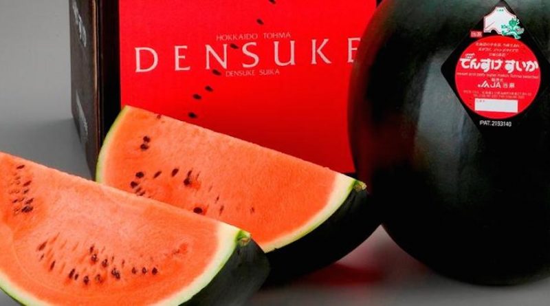 densuke watermelon