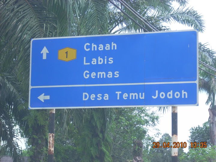 desa temu jodoh