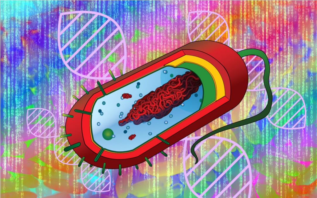 dna simpan data