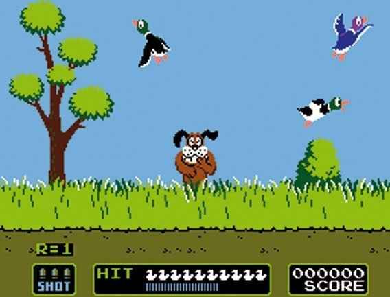 duck hunt