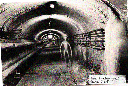 dulce base 2