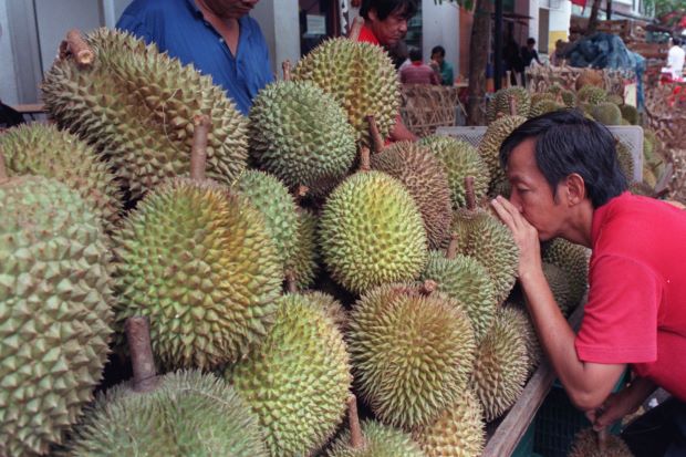 durian tinggi kolestrol