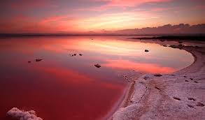 dusty rose lake tasik pink yang misteri di kanada