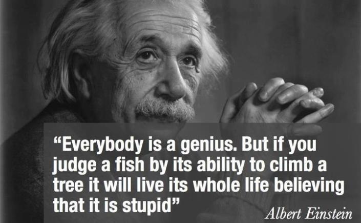 einstein genius fake quote