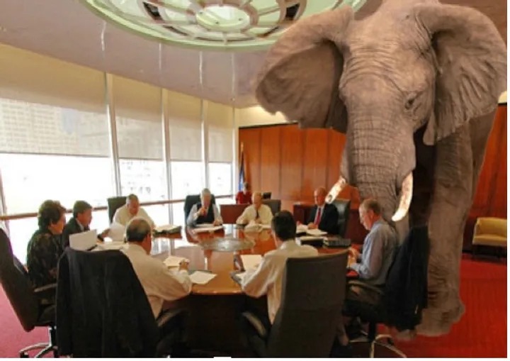 elephant in the room