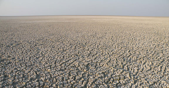 etosha pan namibia