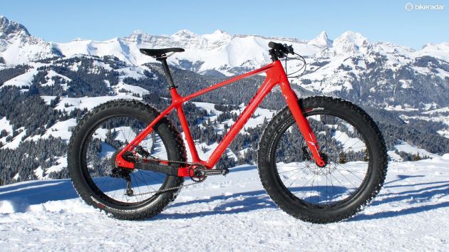 fat bike