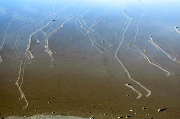 fenomena sailing stones