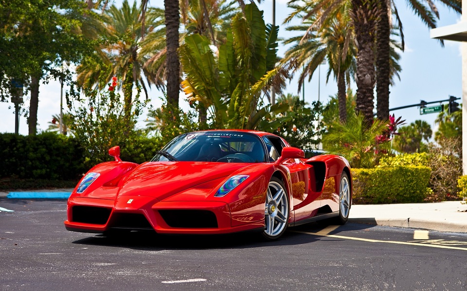 ferrari enzo