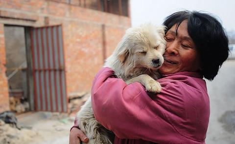 festival anjing yulin makanan