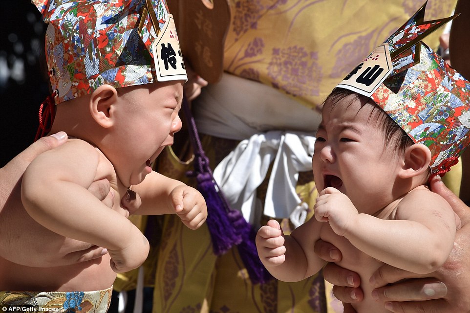 festival nakizumo