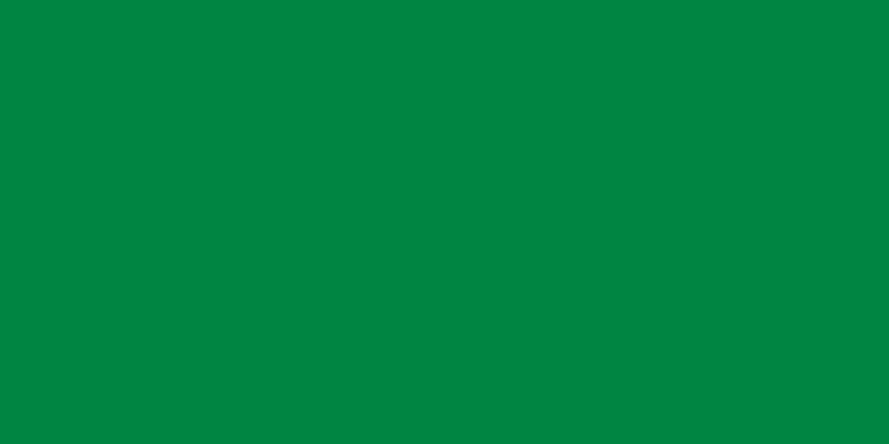 flag of libya