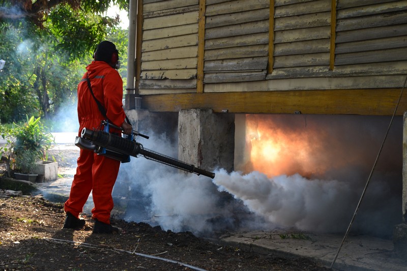 fogging denggi nyamuk