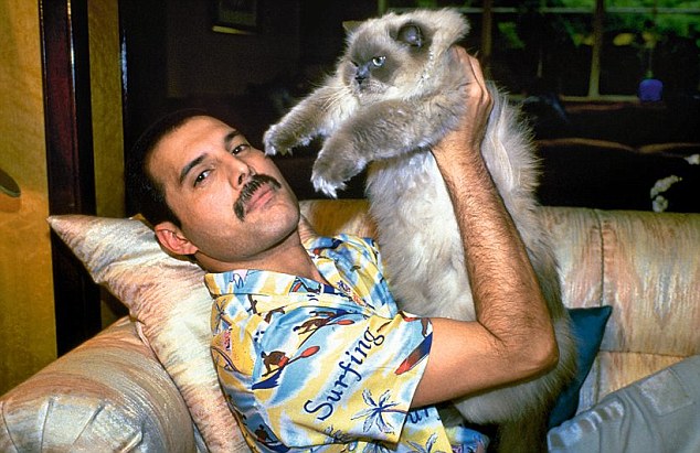 freddie mercury sangat cintakan kucing 10 perkara tentang freddie mercury yang ramai tak tahu 785